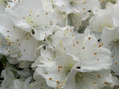 IMG_20210414_184848~2.webp