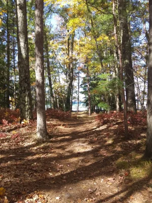 20201010_132151.webp