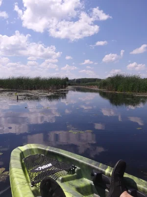 20200628_153248.webp
