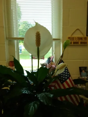IMG_20210517_095218.webp
