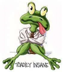 toad.webp