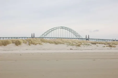 Bridge.webp