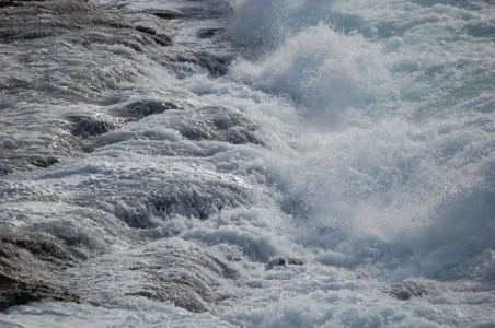 Surf.webp