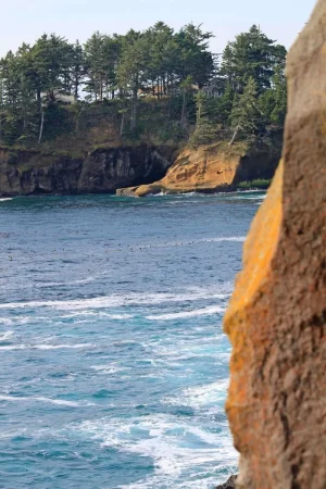 Rugged Oregon coast.webp