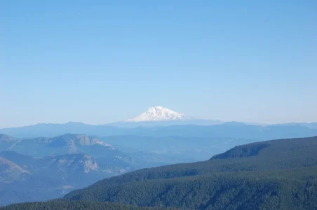 Mt. Rainer.webp