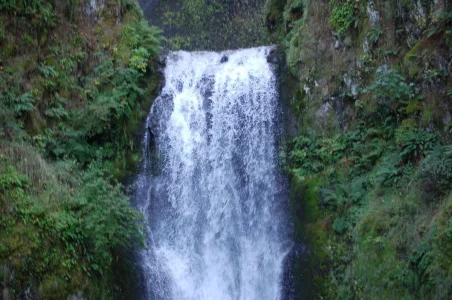 Top of Multnohma Falls.webp