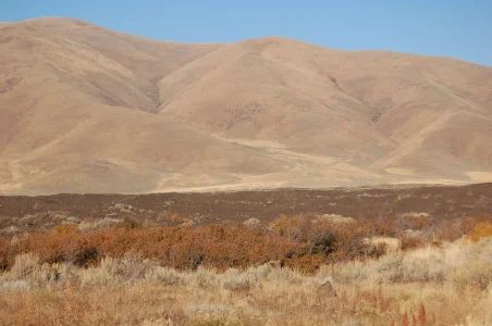 Idaho Prairie.webp
