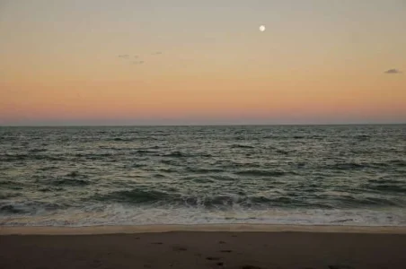 beach.webp