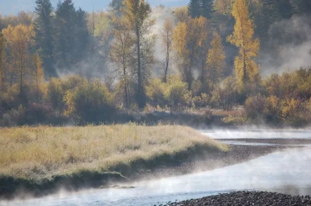 Early Morning Mist.webp