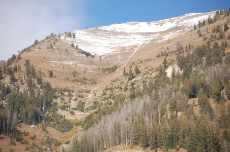 First Snow.webp