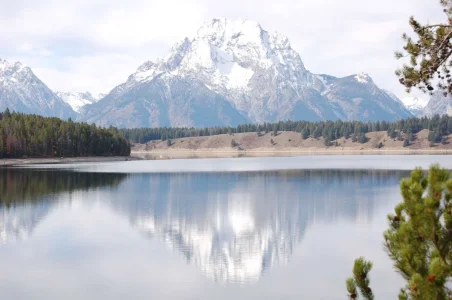 Grand Teton in a Lake.webp
