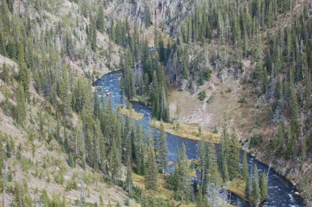 Teton River Shot.webp