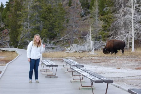 Yellowstone Goat Girl Living Dangerously.webp