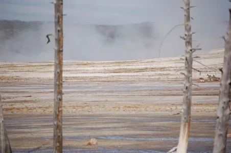 Yellowstone Geiser Field.webp Yellowstone Geiser Field.webp