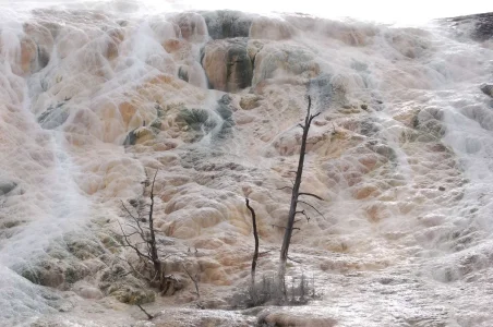 Yellowstone Mamoth Geiser.webp Yellowstone Mamoth Geiser.webp