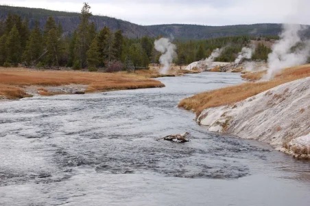 Yellowstone stream and steam vents.webp Yellowstone stream and steam vents.webp