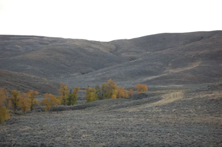 Wyoming view from the road 5.webp Wyoming view from the road 5.webp