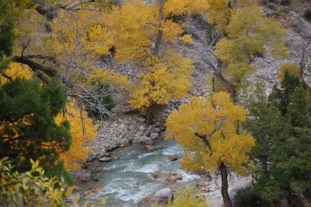 Wyoming View from the road 10.webp