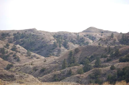 Wyoming View from the road 13.webp