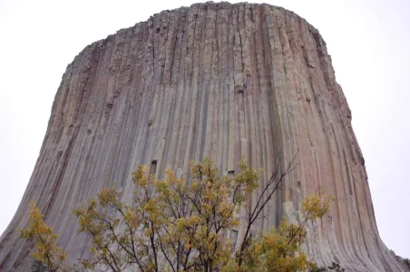 Devils Tower.webp