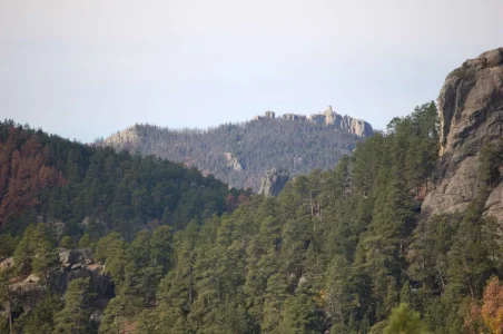 Black Hills.webp