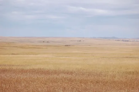 Badlands 5.webp