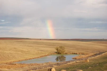 badland rainbow 1.webp