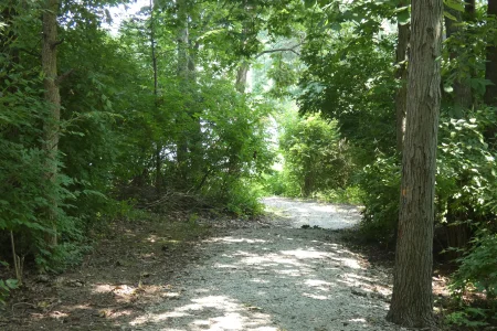 shaded path_2.webp