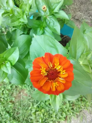 IMG_20210722_172943.webp