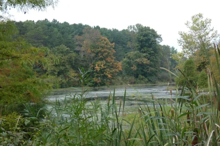 Lake.webp