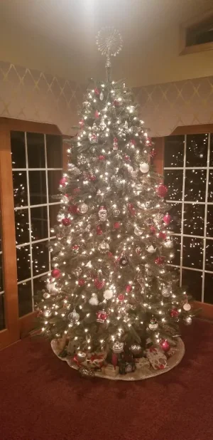 tree.webp