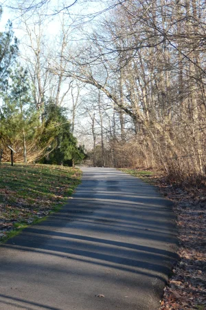 BCA 01032022.webp