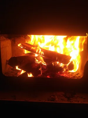 IMG_20220120_0301431.webp