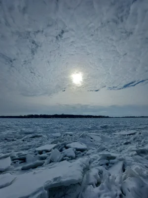 20220130_113900.webp