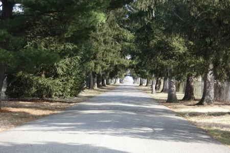 Greendale Cemetery exit.webp