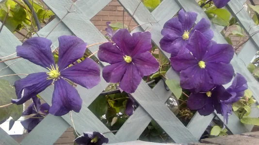 20220629_141101_HDR.webp