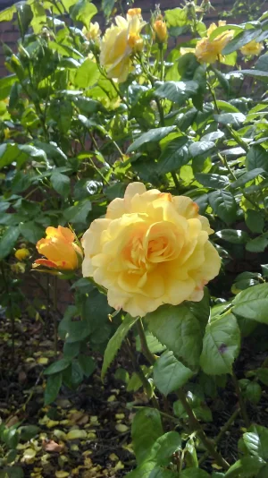 20220629_123124_HDR.webp