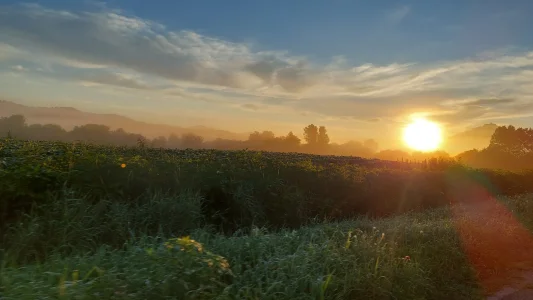 20220725_061349.webp