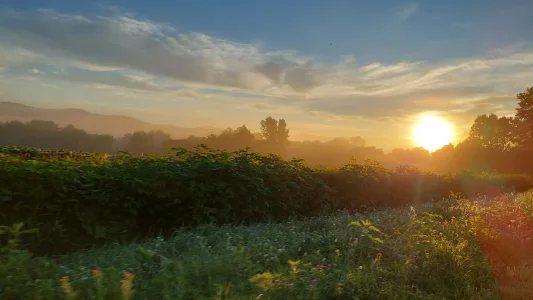 20220725_061348.webp