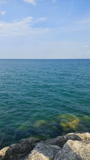 20220917_164700.webp