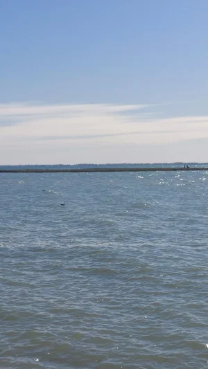 20221009_115454.webp