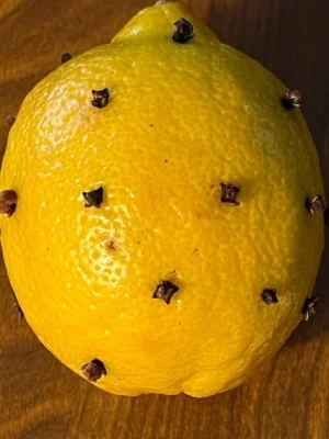 pomander_2.webp