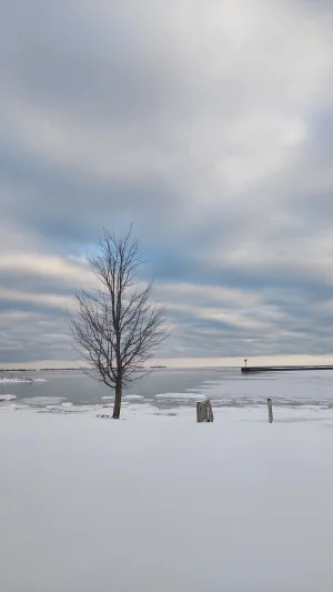 20230224_172454.webp