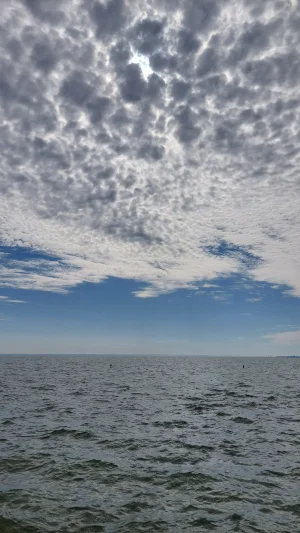 20230416_104355.webp