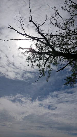20230514_104801.webp