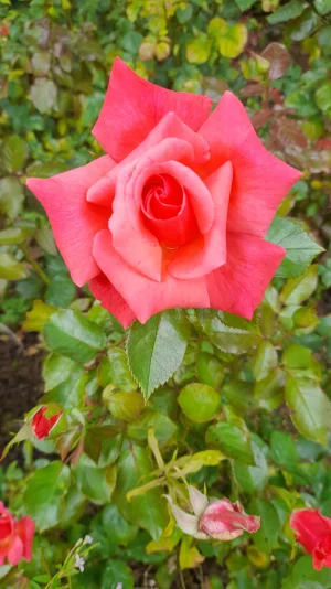 20230711_134407.webp