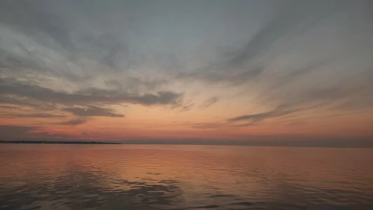 20230728_055323.webp