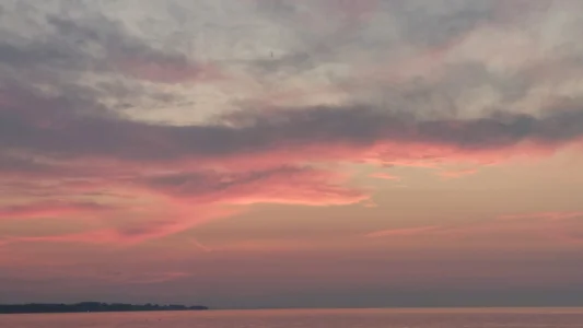 20230728_060410.webp