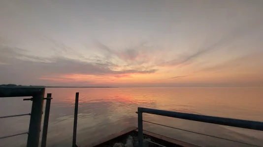 20230728_060428.webp