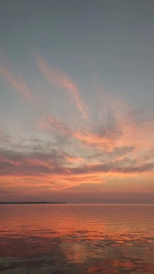 20230728_060724.webp